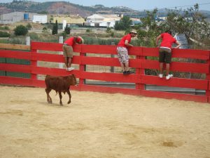 Corrida de jeunes taureaux Séville