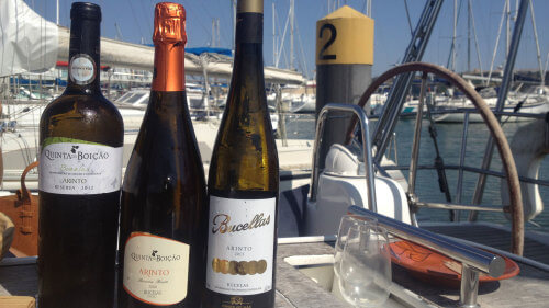 Wine Tasting by Boat