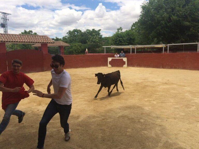 Madrid Baby Bull Running