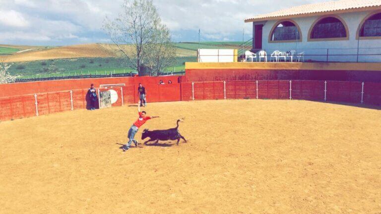 Madrid Baby Bull Running